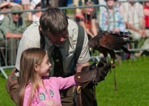 Country Show Falconry display