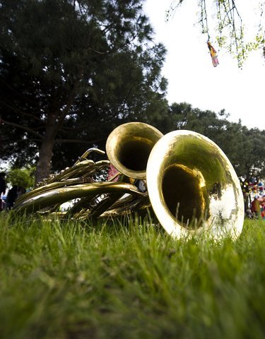 Saxophones on grass at music festival