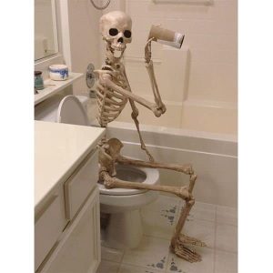 Halloween Toilet Hire