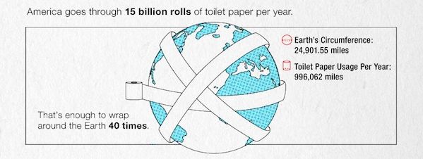 The toilet paper roll whats circumference of a What Shape