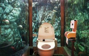 loo with a view
