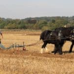 ploughing matches