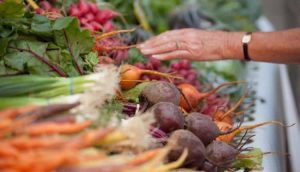 farmers market