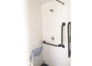 combined toilet and shower unit