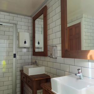 3+1 Themed Toilet Trailer for sites